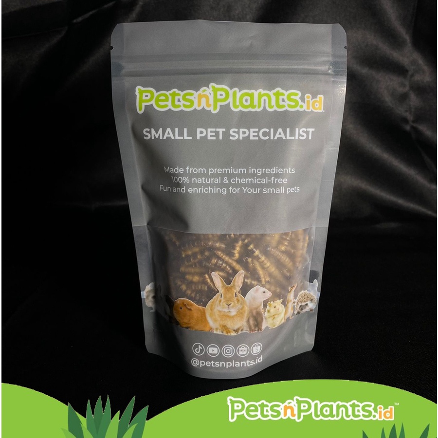 Pets N Plants - Ulat Jerman Kering - Dried Super Worms - Makanan Hewan Snack Sugar Glider Reptil Hamster Ikan Burung