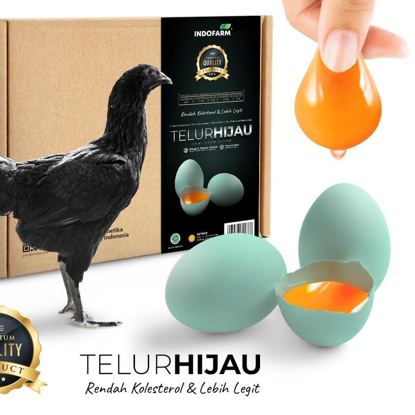 

♘ Indofarm Telur Hijau dari Ayam Hitam Rendah Kolesterol Isi 20 Butir ♂