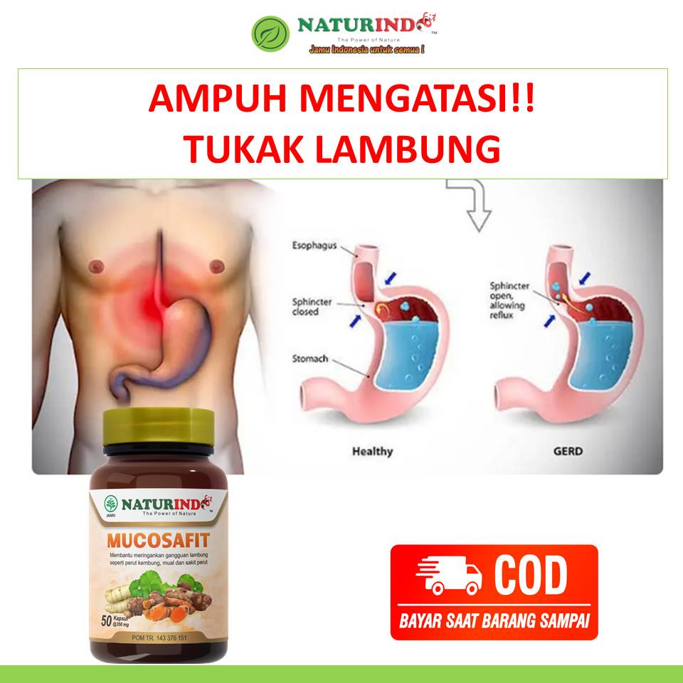 Obat Tukak Lambung  Lambung Luka  Infeksi Lambung Lambung Bocor Maag Kronis  Obat Lambung Maag  Asam