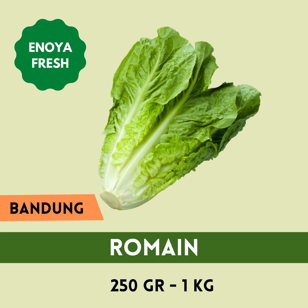 

Romain 250 gram - 1 kg Bandung