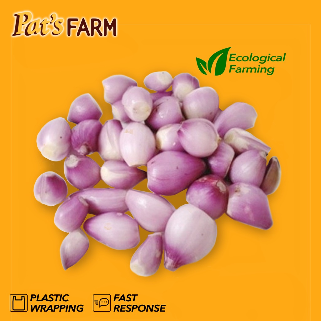 

Bawang Merah Brebes Kupas (Berat kotor)