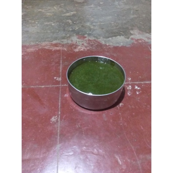 

Daun Cincau Perdu Organik Bahan es Cincau