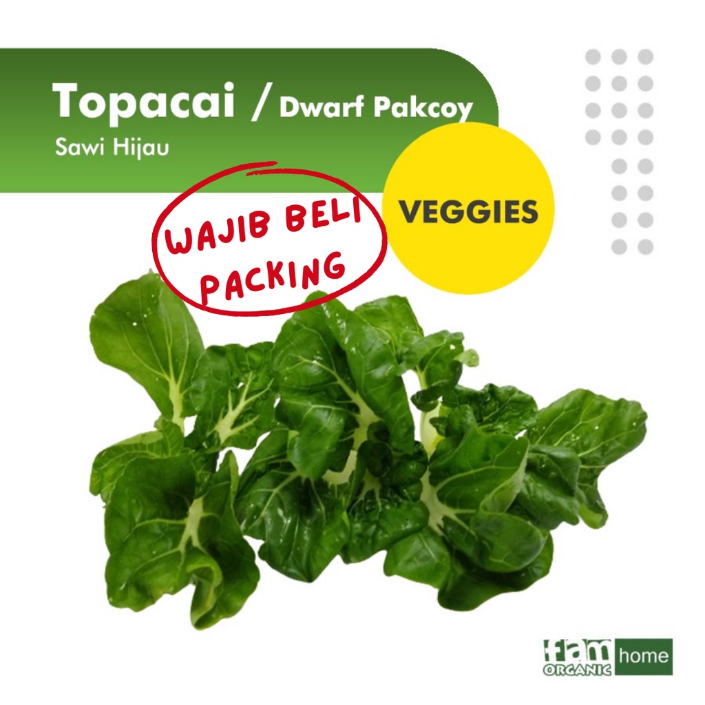 

Topacai / Sawi Nai Bai / Dwarf Pakcoy Sayur Segar Fresh Veggie FAM Organik