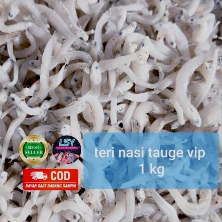 

™ ikan asin tn tauge vip / teri nasi size jumbo 1kg ☃