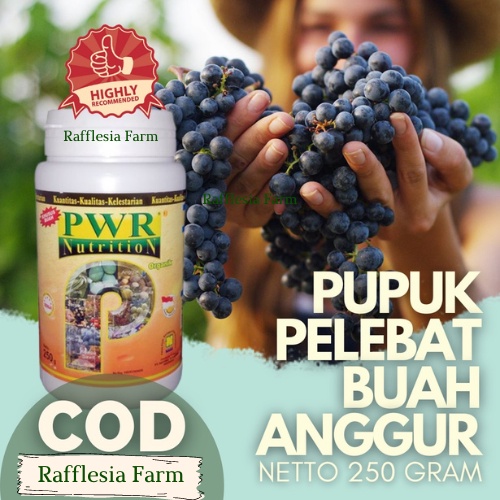 Pupuk Buah Anggur Lebat / Pupuk Buah Anggur Biar Cepat Berbuah / Booster Anggur Cepat Berbuah / Pupu