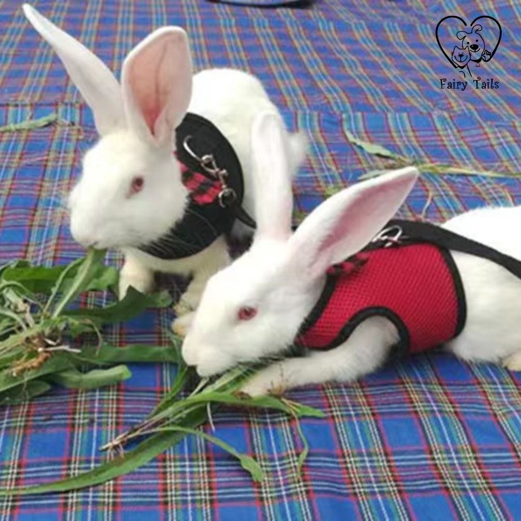 Harness dan Tali Tuntun Kelinci Adjustable Untuk Outing Aktivitas Outdoor Model Rompi / Soft Breathable Harness and Adjustable Leash for Rabbits