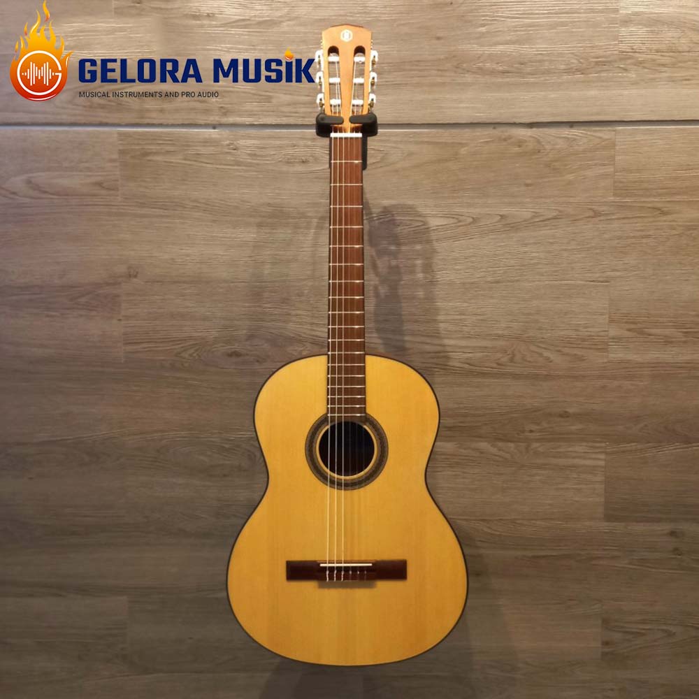 Gitar Akustik Elektrik Hex C70E M