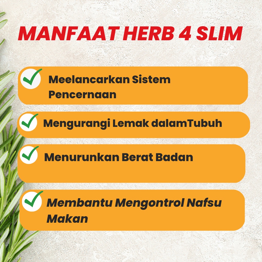 Obat diet dalam 1 minggu 1-16 kg pelangsing dokter herbal pengecil perut wanita pria suplemen jamu  bpom HERB4SLIM NATURINDO