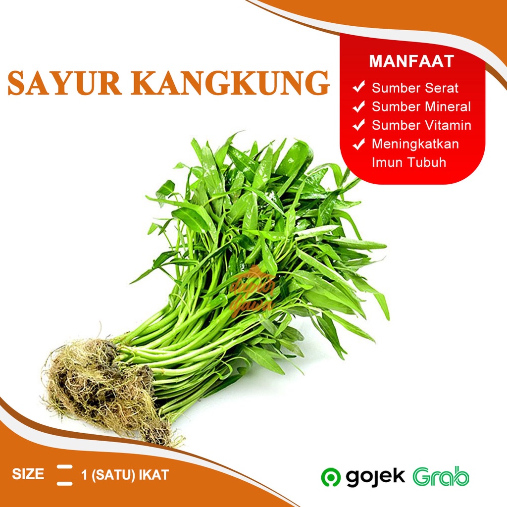 

SAYUR SAYURAN KANGKUNG DARAT AIR MAKANAN SEGAR FRESH SEHAT BEKU KERING KEMASAN BOX