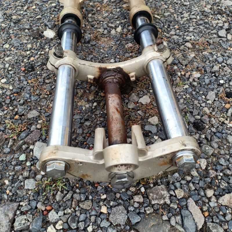 SHOCK NINJA RR GOLD original istimewa