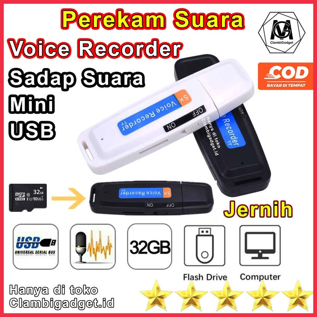 Perekam Suara USB Recorder Perekam Suara Tersembunyi Alat Sadap Suara Alat Penyadap Ruangan Mobil Re