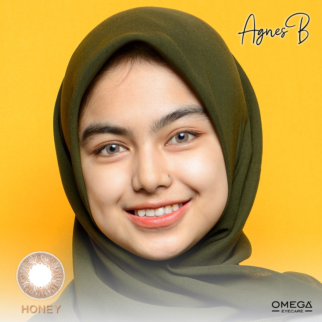 (COD) SOFTLENS AGNES B - BROWN 0.00 s/d 6.00