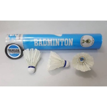Kok Badminton/Kok Bulutangkis