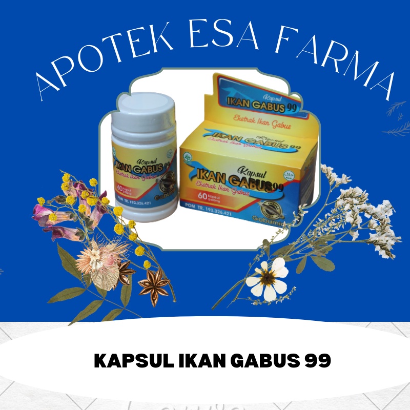 Kapsul Ikan Gabus 99 ekstra ikan  gabus