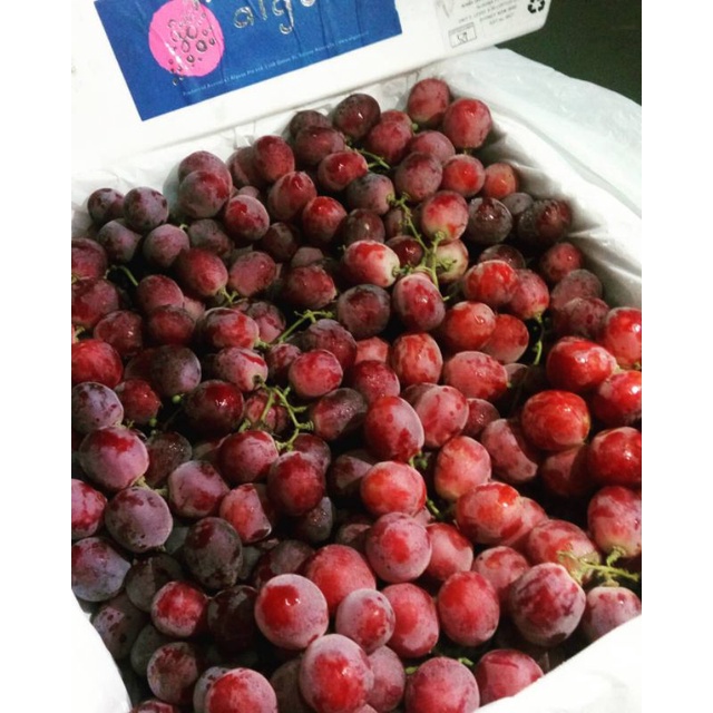 

Anggur Merah Red Globe