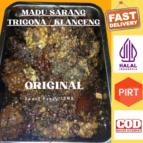 

Madu sarang liar trigona bee kualitas terbaik madu murni madu asli madu alami madu mentah