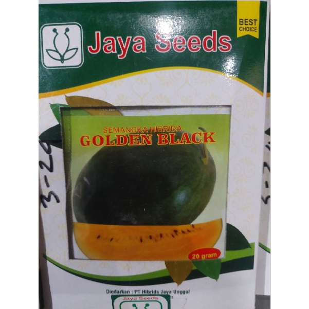 Benih Semangka Golden Black