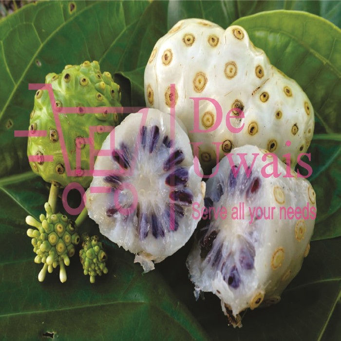 

Pace Mengkudu Bubuk Langsung Seduh/Bahan Jamu Herbal Obat Jantung Hati