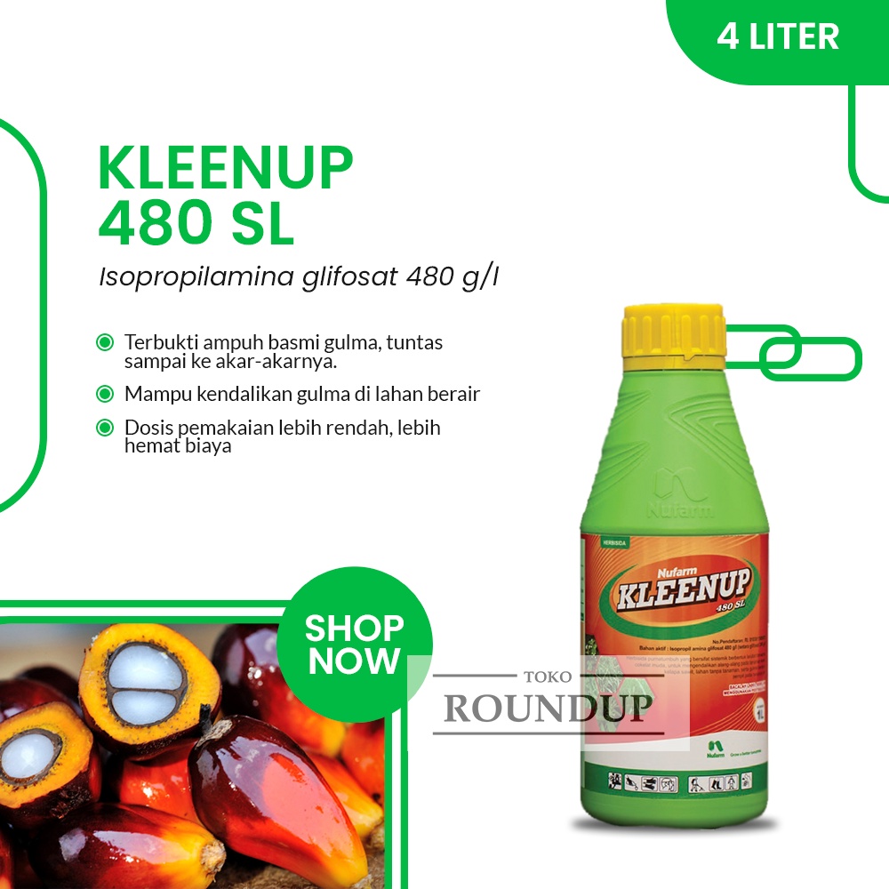 Kleenup 480 SL 1 Liter