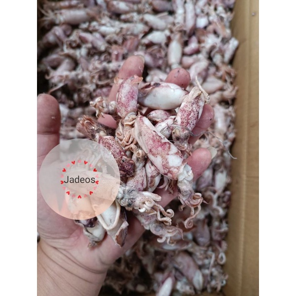 

Cumi Sotong 1kg
