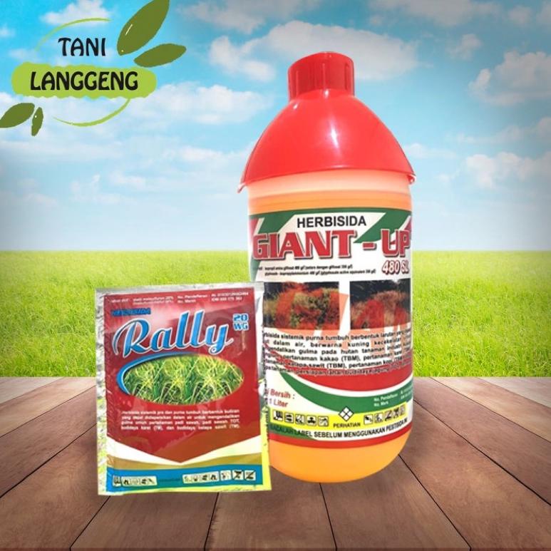 MURAH MERIAH Herbisida glifosat Giant-up 480SL 1 liter bonus metsul 24wp 5gram basmi rumput liar mat