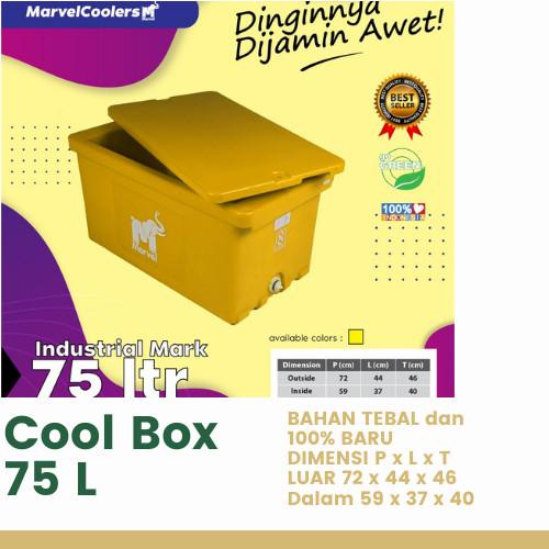 Cooler Box ice 50 / 60 Liter L / Cool box / Marvel Tanaga Lion star