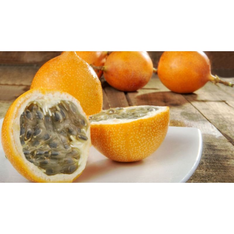 biji benih markisa madu//markisa kuning//markisa hitam markisa langka