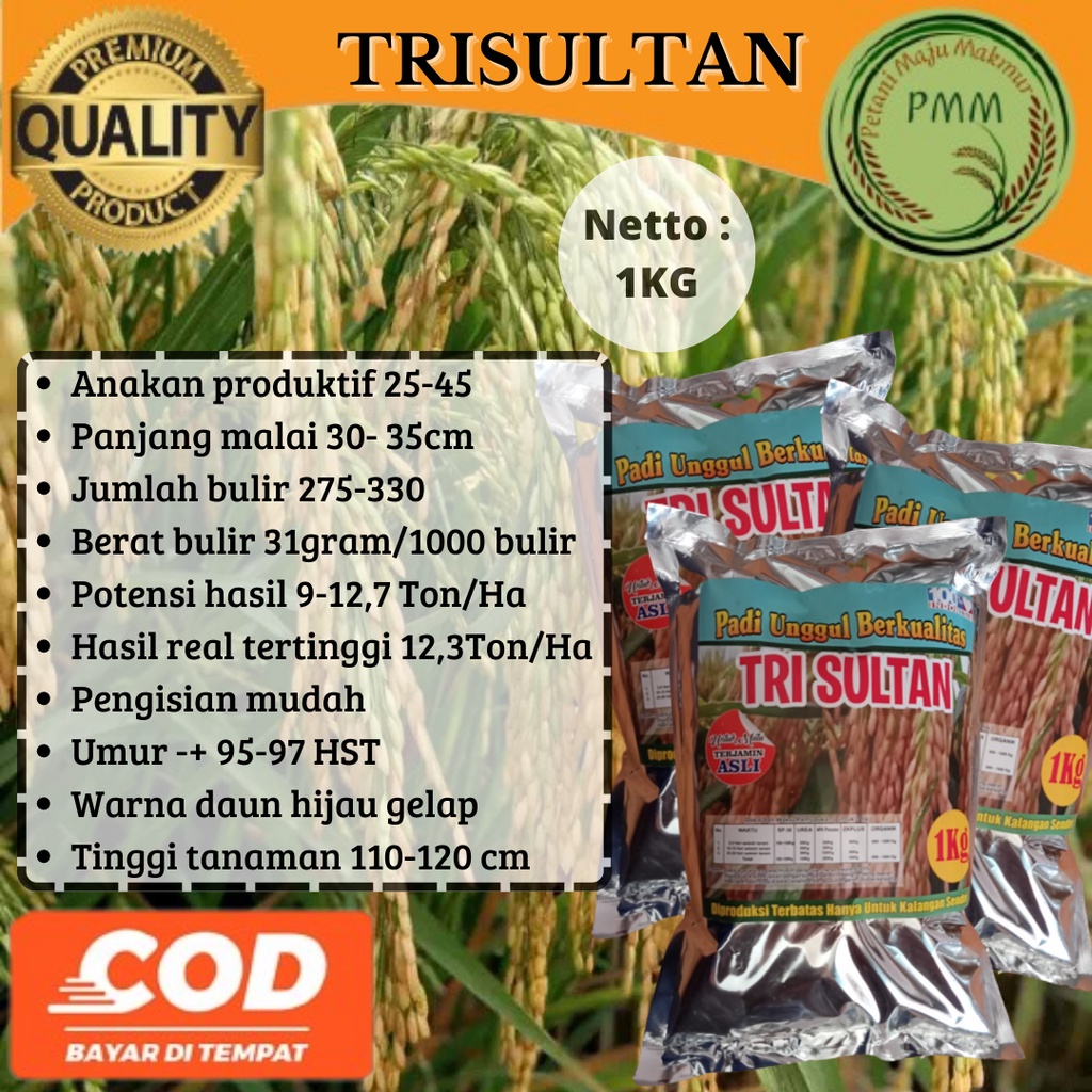 Biji Padi Trisultan 1KG TRI SULTAN