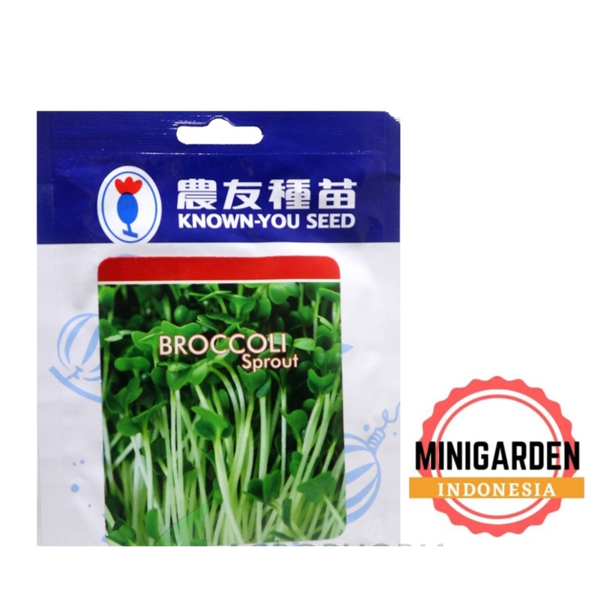 BENIH MICROGREEN BROCCOLI SPROUT 10 GRAM bibit biji microgreen brokoli