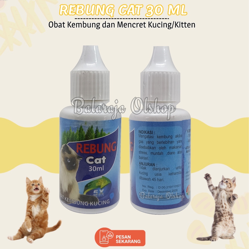 Obat Kembung Kucing - Rebung Cat Drop 30ml Mengobati Gas Berlebihan Dan Diare Dalam Perut Kitten Kucing