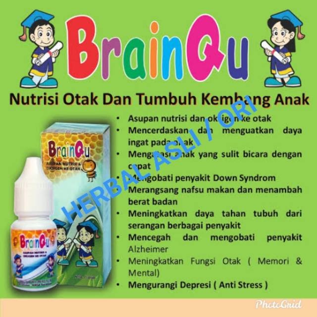 

BRAINQU Nutrisi Otak Anak Madu Anak Pintar Madu Pintar TERAMPUH