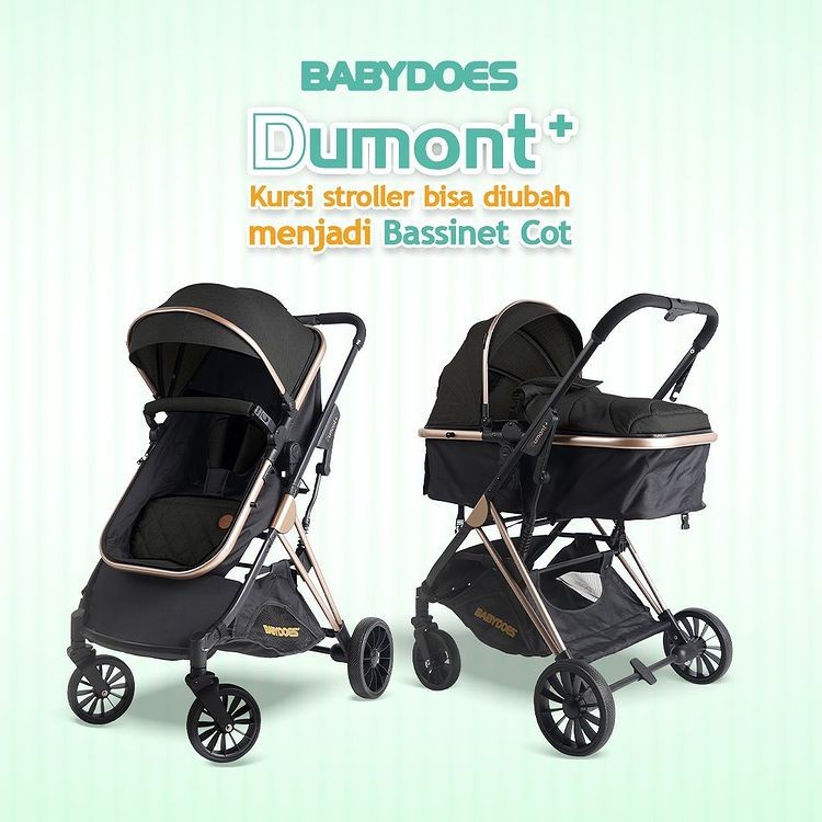 Stroller Kereta Dorong Bayi BabyDoes CH 4143 Dumont+ Reversible Seat