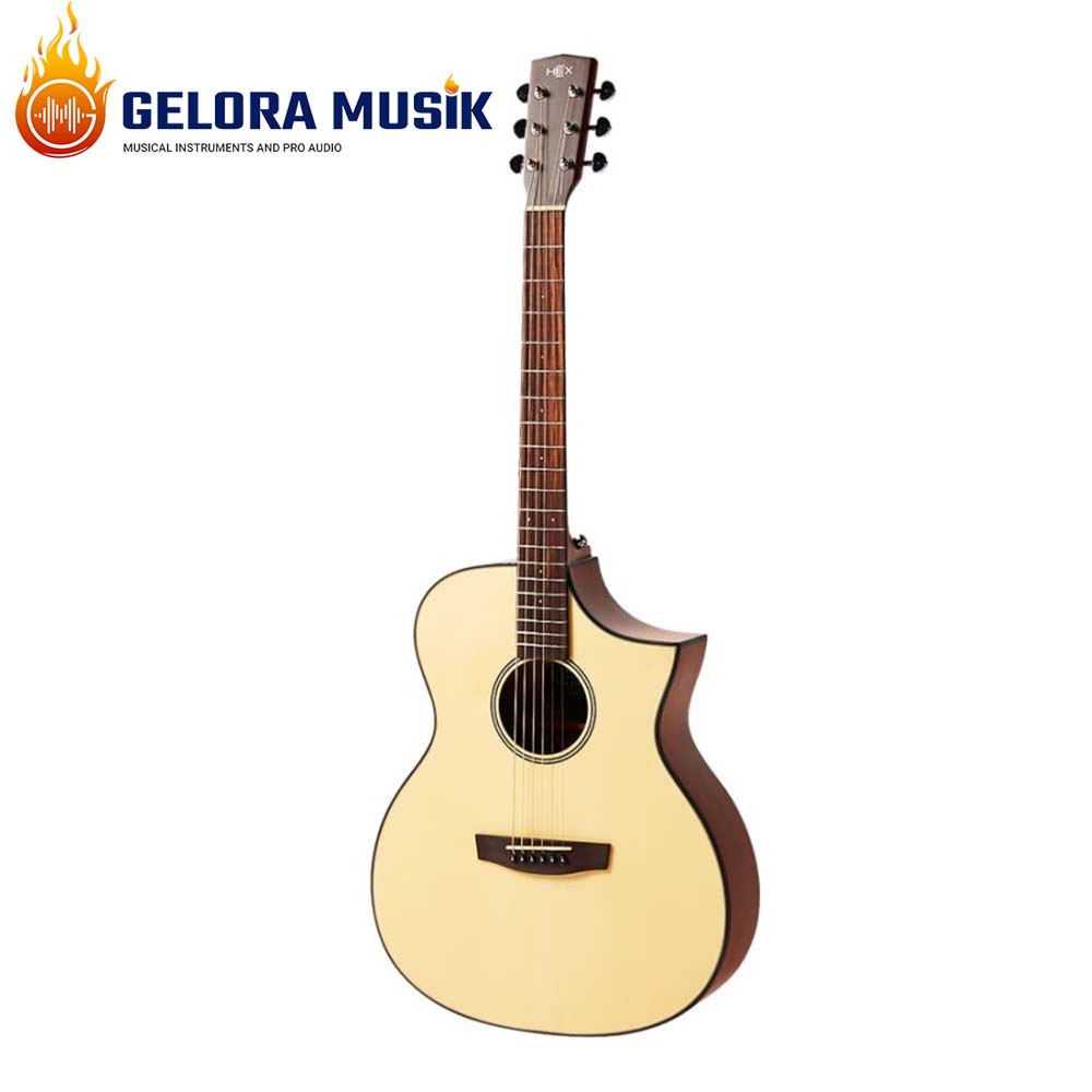 Gitar Akustik Elektrik Hex Hive F100CE M