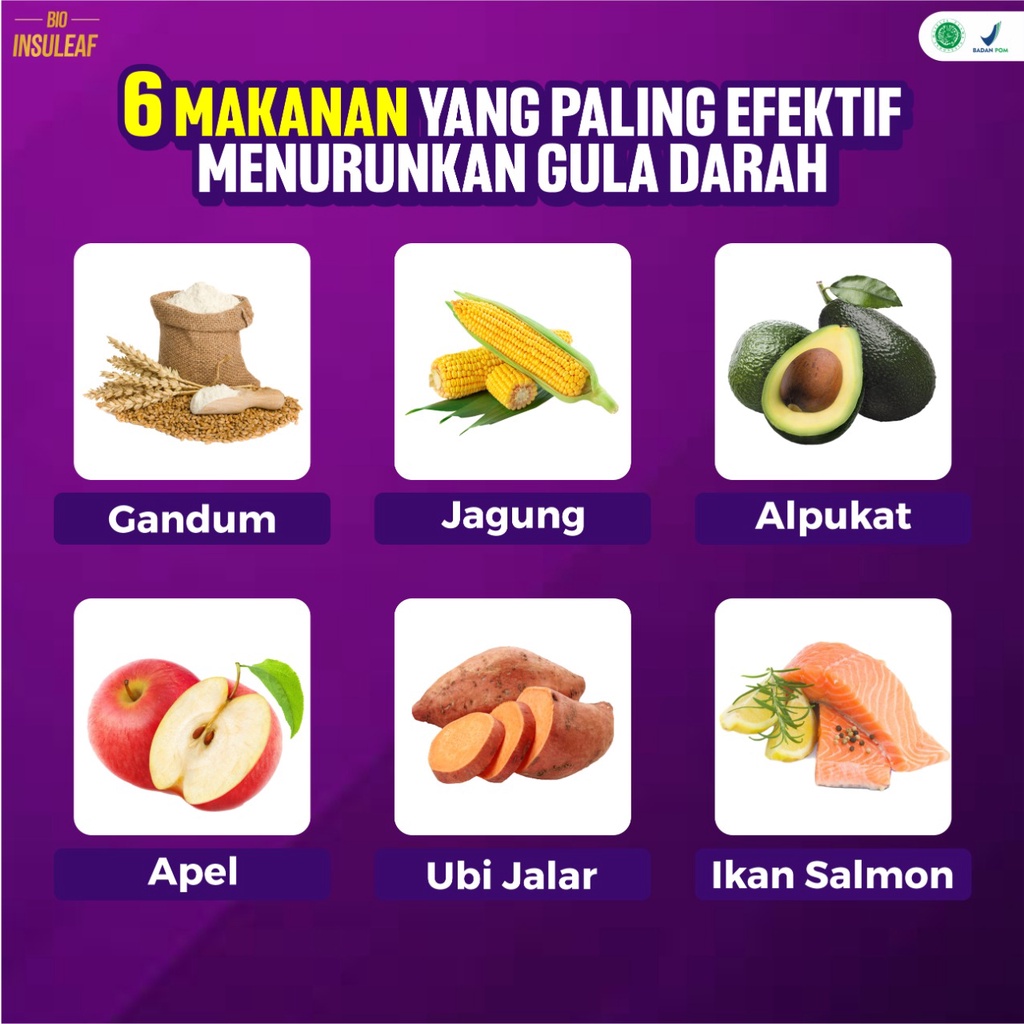 Bio Insuleaf - Tingatkan Insulin Atasi Kencing Manis, Turunkan DIABETES MELITUS cegah  Kerusakan Jantung Solusi  Kurangi Kadar Glukosa Gula Darah Tinggi Atasi Kolesterol Hati Ekstak Mengkudu Brotowali  Mahkota Dewa Kunyit Obat Jamu Tropicana insulif [Cod]