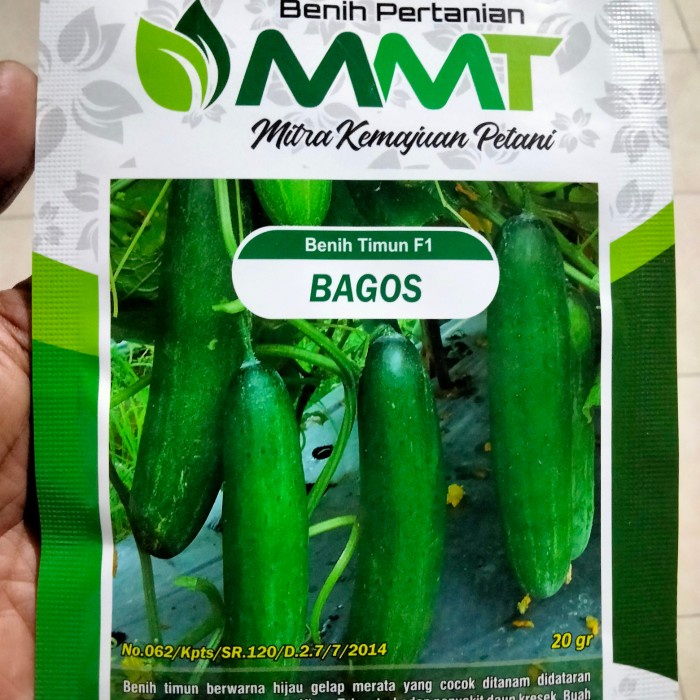 Benih Timun F1 BAGOS MMT SEED 20 Gram - Bibit Timun BAGOS BAGUS