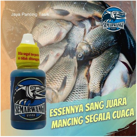 Essen Ikan Mas Kilo Gebrus / Harian 100% Neter