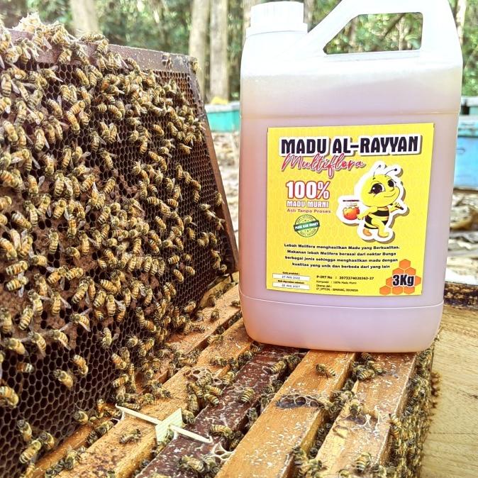 

MADU SALE MADU MURNI 3KG MADU ASLI | RAW HONEY MULTIFLORA PACKING AMAN EL09I09A82L