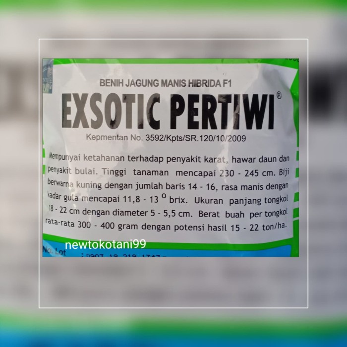 benih bibit jagung manis EXOTIC F1 produksi pertiwi