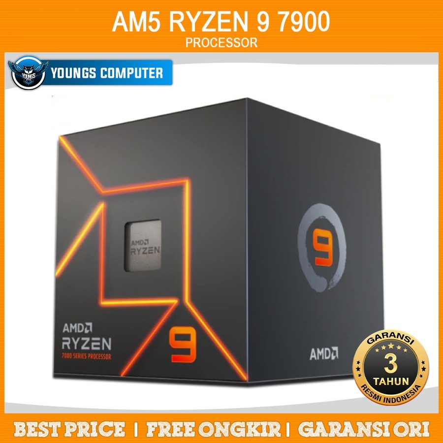 Processor AMD Ryzen 9 7900 Box 3.7Ghz Upto 5.4Ghz 12 Core 24 Threads AM5