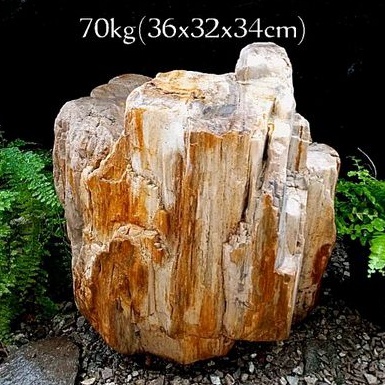 batu hias fosil kayu Cendana kristal (128)