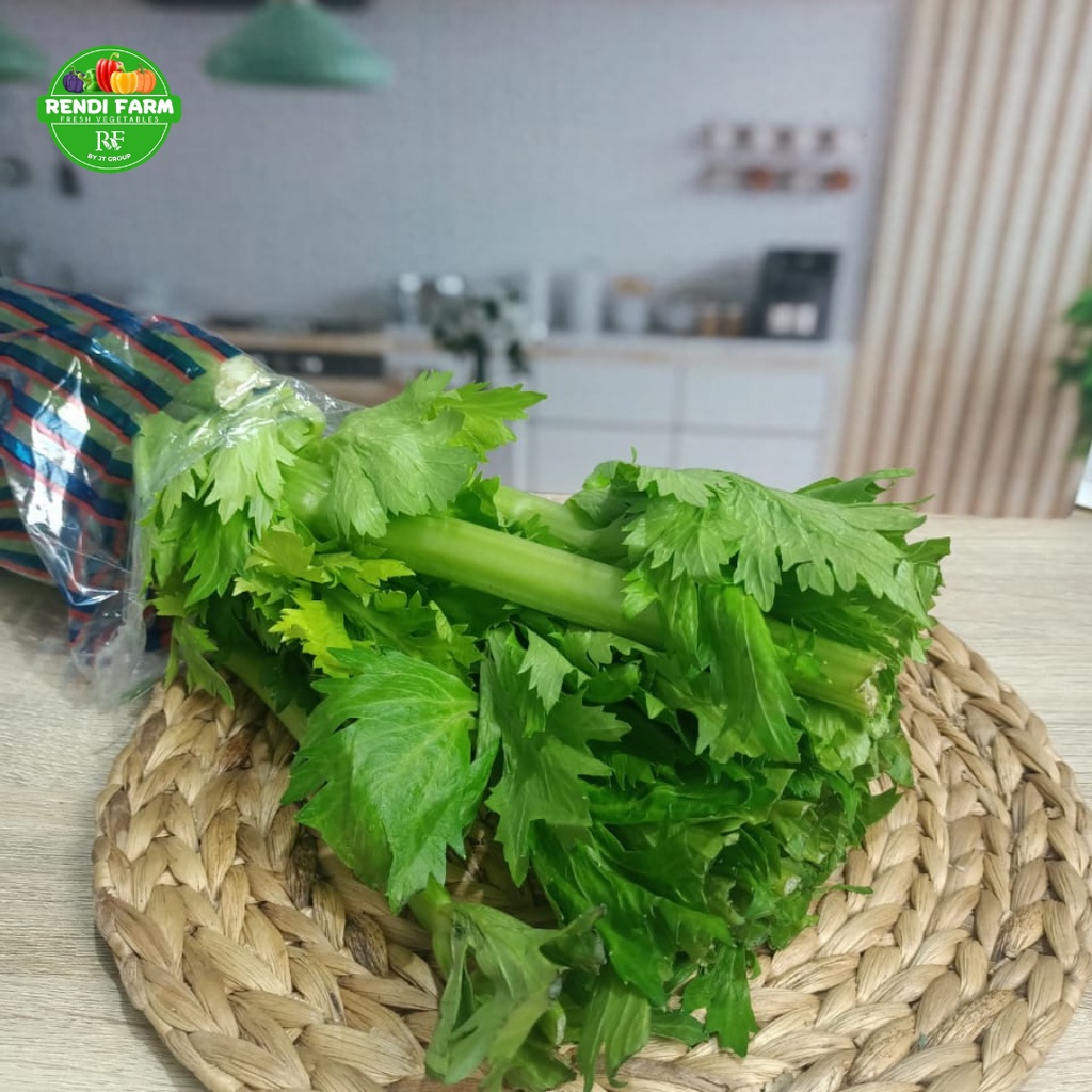 SAYUR SEGAR - CELERY STICK 1 PCS