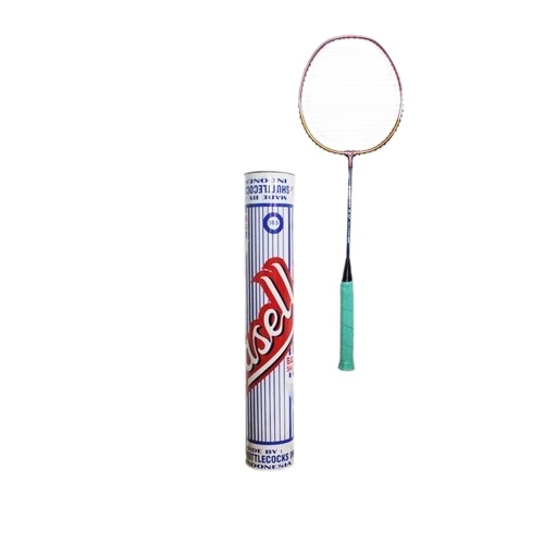 Paket badminton raket dan shuttlecock bulu tangkis olahraga aktivitas outdoor racket cock