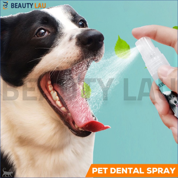 PET DENTAL SPRAY PENGHILANG BAU MULUT KUCING ANJING PENYEGAR NAFAS PEMBERSIH GIGI KUCING ANJING