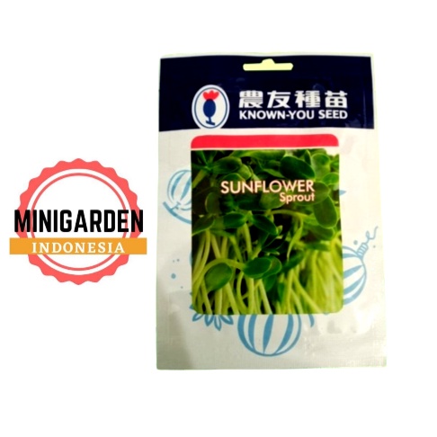 BENIH MICROGREEN SUNFLOWER SPROUT 10 GRAM biji bibit microgreen known you seed