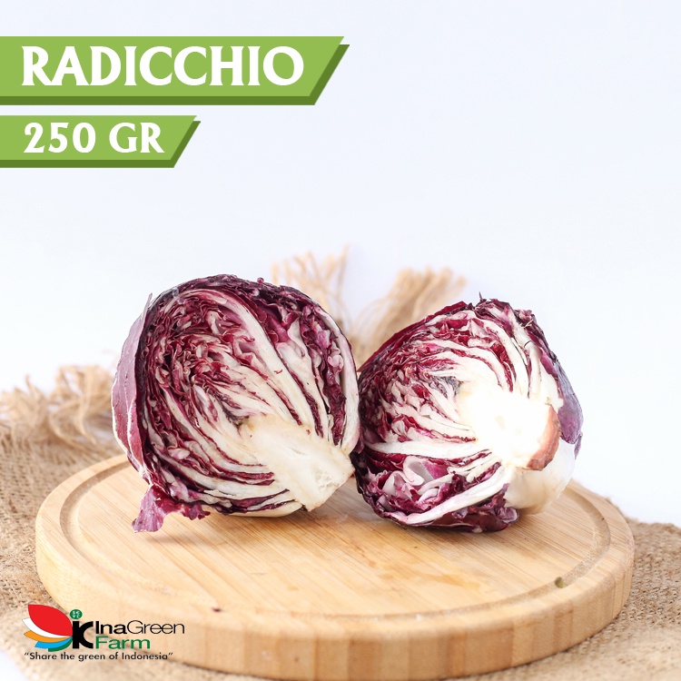 

Inagreen Farm Bandung Radicchio