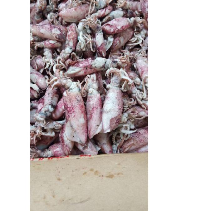 

➬ Cumi asin 1kg Termurah/cumi asin rebus/ikan asin cumi ☉
