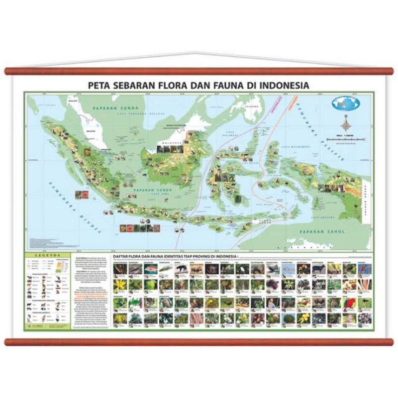 

PETA SEBARAN FLORA DAN FAUNA PETA TEMATIK