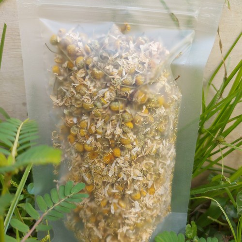 

Teh Bunga Chamomile Kering 20gram