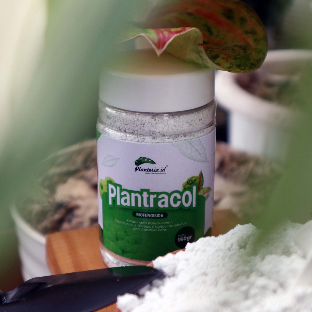 RB Plantracol Biofungisida Alami 150 gram