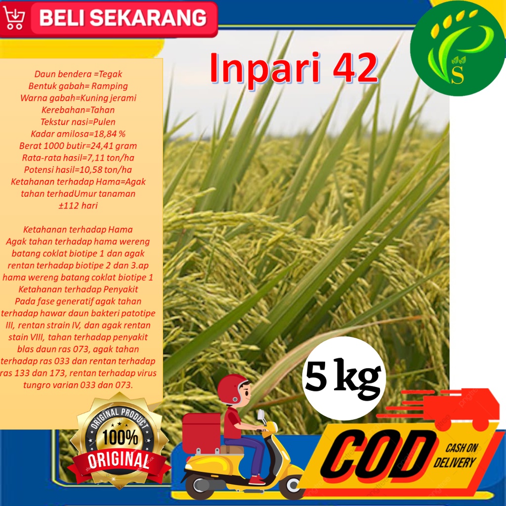 Biji Padi Unggul inpari 42  5kg